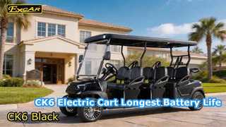 Carrinhos de golfe elétricos pretos CK6