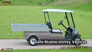 A1H2 Champagne Gold Este veículo utilitário elétrico multifuncional oferece segurança e estabilidade, uma longa