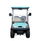 Golf Car 4 Seats New Design 48V Lithium Battery Golf Car Customized Color Optional