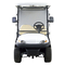 Hot Selling Golf Buugy Utility Car Housekeeping Car With Cargo Box For Hotel Farm